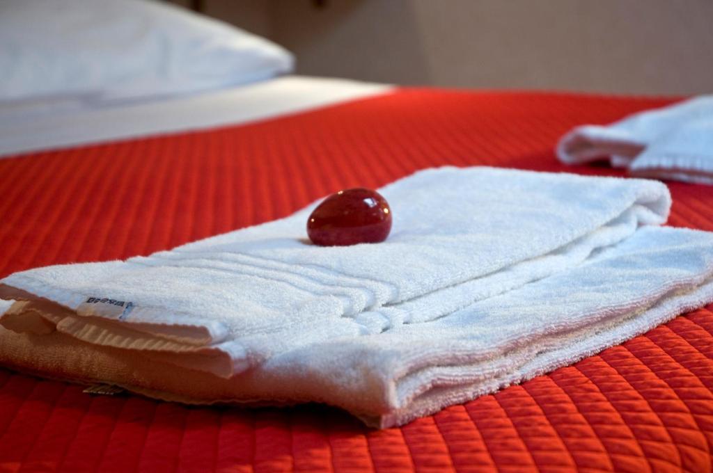 Bed and breakfast Alma De